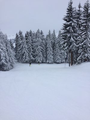 Maierl Alm Hotel by null
