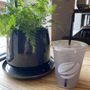 Photo of Zook Coffee