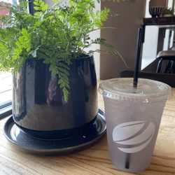 Zook Coffee - Lavender lemonade