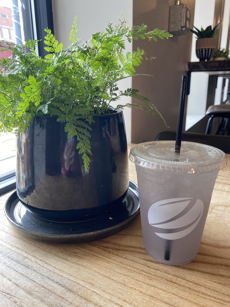 Social spots from Zook Coffee