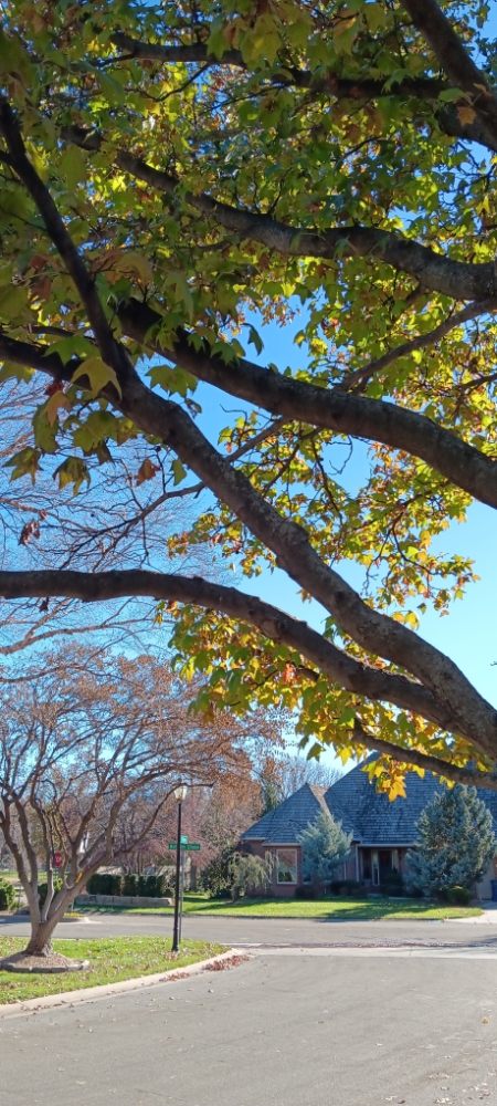 Slide of Doo It All Dave's Remodeling and Services