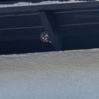 Moxie Pest Control - Riverside - Pest Control Near Me - Riverside, California