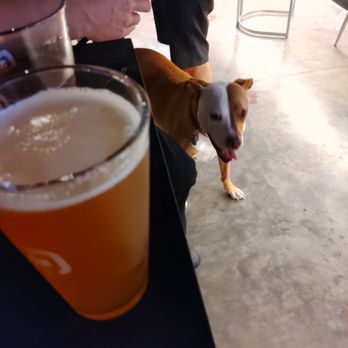 Nurvis Purvis Brewery - Hi! - Brewpubs Near Me - Carlsbad, New Mexico Nurvis Purvis Brewery - Hi! - Brewpubs Near Me - Carlsbad, New Mexico