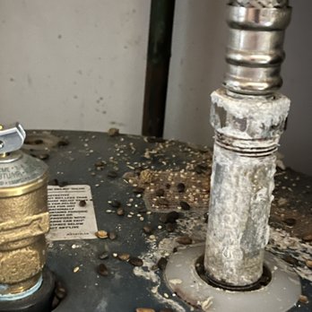 Black Butte Ranch - Rat feces - Golf Near Me - Sisters, Oregon