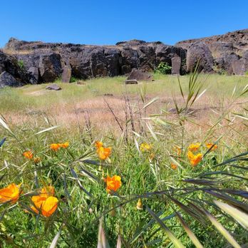 Horsethief Lake State Park - Petroglyphs in front of butte - Lakes Near Me - Dallesport, Washington Horsethief Lake State Park - Petroglyphs in front of butte - Lakes Near Me - Dallesport, Washington