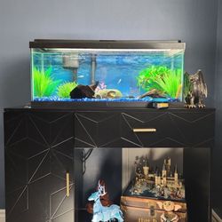 Aquatic Systems Consultants