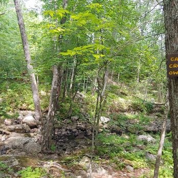 Hilton-Winn Preserve - Hiking Near Me - York, Maine Hilton-Winn Preserve - Hiking Near Me - York, Maine