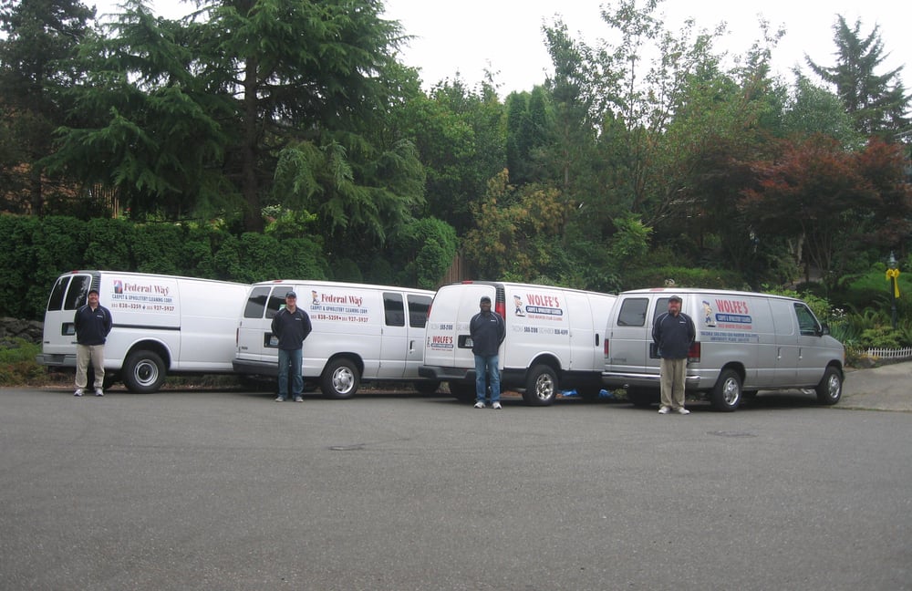 Wolfe's Carpet & Upholstery Cleaning