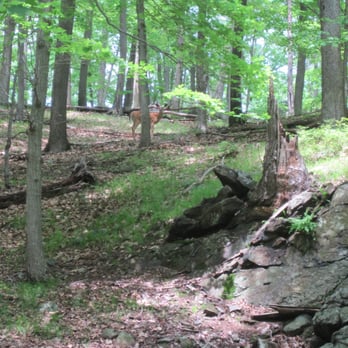 Harriman State Park - Parks Near Me - southfields, New York