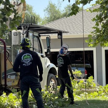 Easy Stumps Tree Services - Tree Services Near Me - Folsom, California