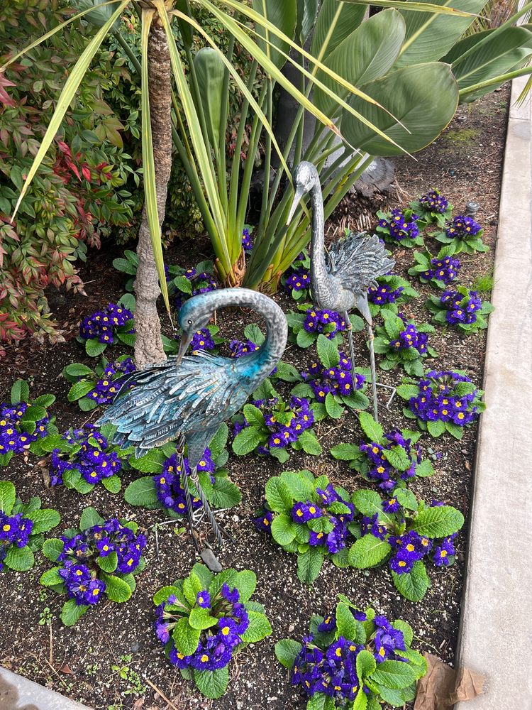 ALTA GARDENS CARE CENTER 19 Photos & 34 Reviews 13075 Blackbird St