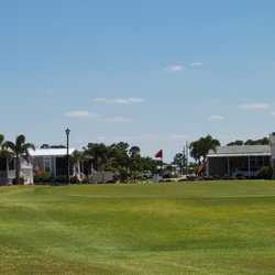 #8 green
