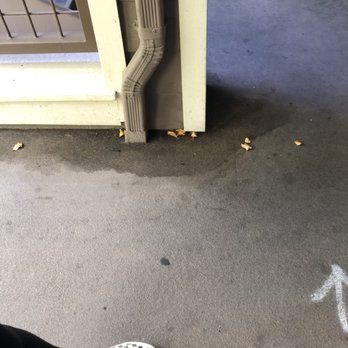 The Manor Association/Keystone Pacific Property Management - Outside my front door - Property Management Near Me - San Mateo, California