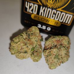 Norcal Medicine Man - 420Kingdom - Alien OG