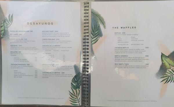 Menu photo 4 La Libertad Temozón Mérida, YUC
