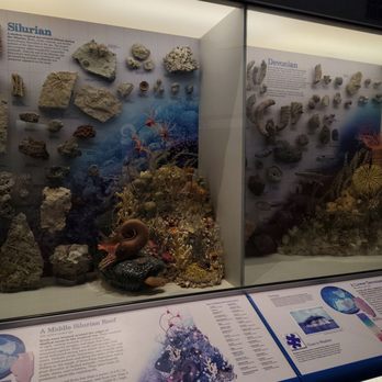 Illinois State Museum - Museums Near Me - Springfield, Illinois