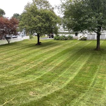 Mullet Maintenance - a freshly mowed lawn - Lawn Services Near Me Mullet Maintenance - a freshly mowed lawn - Lawn Services Near Me