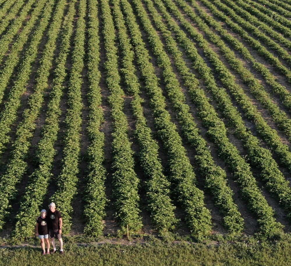 Food from Thompson Farms
