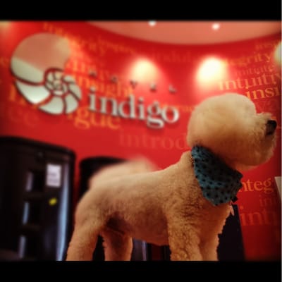 Hotel Indigo Columbus Architectural Center by IHG by null