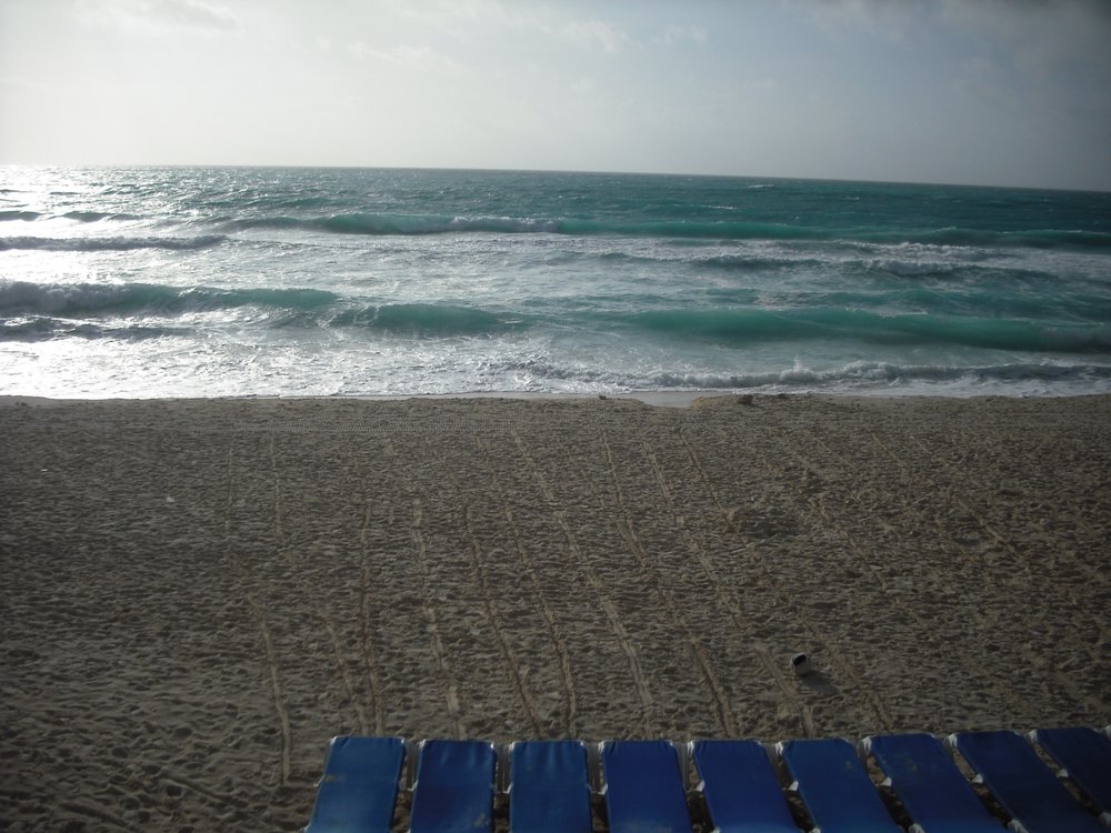 Social Work Consultant Services - grief counselor in Polk City, FL