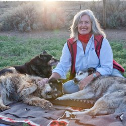 Jane Trains - Jane Gerard with Maggie, Junior and Lala.