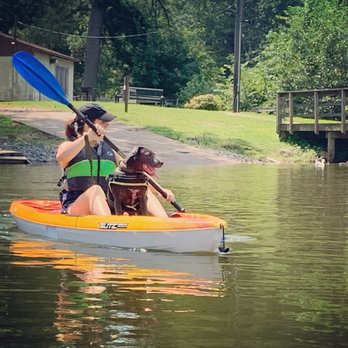 Pawsitive Training Service Dog Solutions - Pet Training Near Me Pawsitive Training Service Dog Solutions - Pet Training Near Me