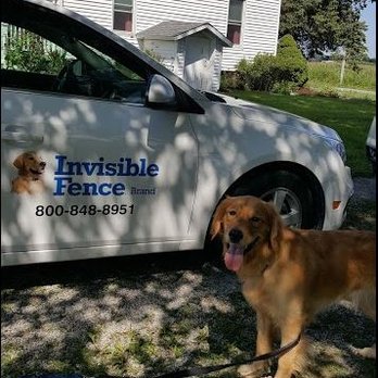 invisible fence northwest