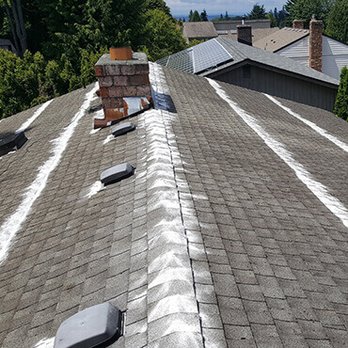 Pure Shine Window Cleaning - Roof Powder Treatment - Window Washing Near Me - Bellingham, Washington Pure Shine Window Cleaning - Roof Powder Treatment - Window Washing Near Me - Bellingham, Washington