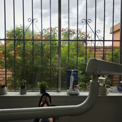 Advanced Family Dentistry - View from the chair.