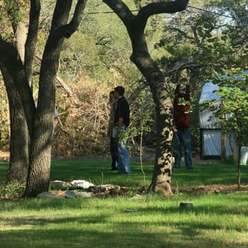 Sid Mourning Tree Service - The Bid - Tree Services Near Me - Austin, Texas Sid Mourning Tree Service - The Bid - Tree Services Near Me - Austin, Texas