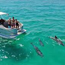 Aqua Water Tours - Aqua adventures!