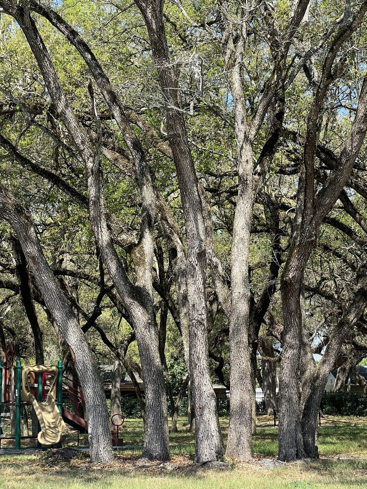 Rolling Oaks Park Image