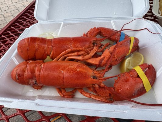 Bar Harbor Seafood by null