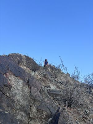 North Mountain Park by null