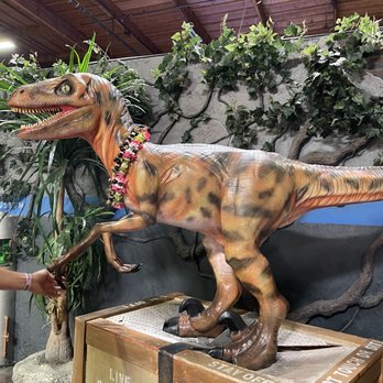 Lost Worlds - Laser Tag Near Me - Livermore, California