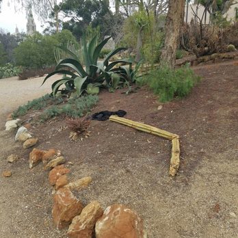 Kate O Sessions Cactus Garden - Vandalized, clothing. - Parks Near Me - San Diego, California Kate O Sessions Cactus Garden - Vandalized, clothing. - Parks Near Me - San Diego, California