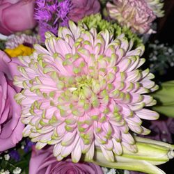 Family Florist & Gifts