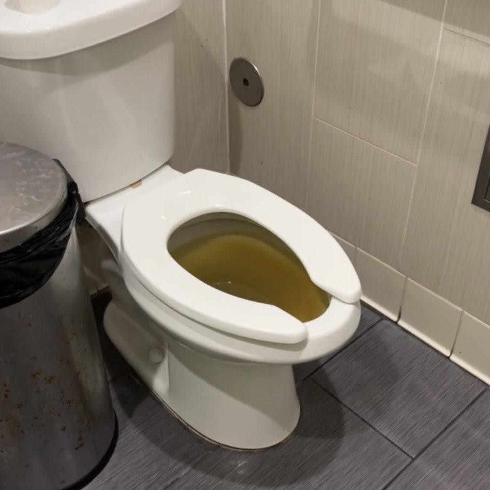 Creamistry - Toilet and floors covered in pee - Ice Cream & Frozen Yogurt Near Me - Dallas, Texas Creamistry - Toilet and floors covered in pee - Ice Cream & Frozen Yogurt Near Me - Dallas, Texas