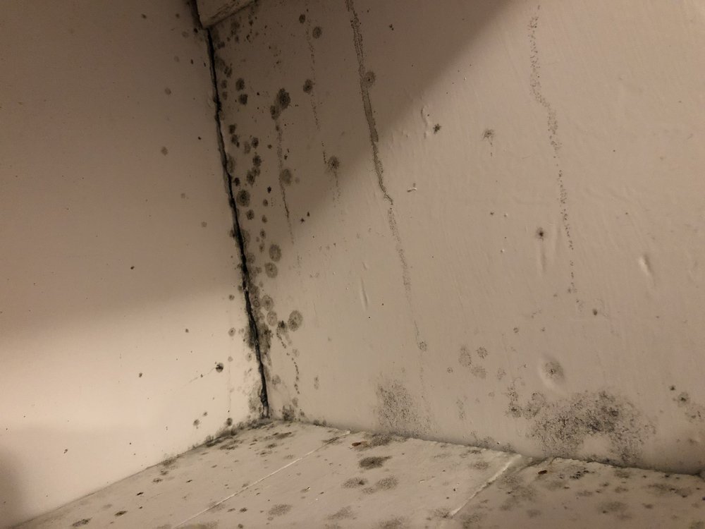 CAPITAL PROPERTY MANAGEMENT Updated August 2024 10 Photos & 100