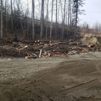 Byler Contracting - Yard debris left all over, sink holes on property from burying debris and trash - General Contractors Near Me Byler Contracting - Yard debris left all over, sink holes on property from burying debris and trash - General Contractors Near Me