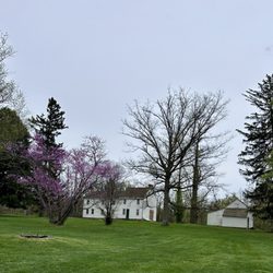 Princeton Institute Woods