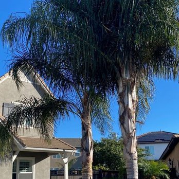 Edmar Tree Service & Landscaping - Landscaping Near Me Edmar Tree Service & Landscaping - Landscaping Near Me