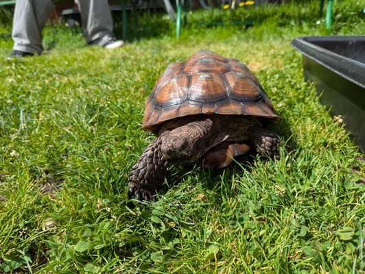 Randall Museum by null