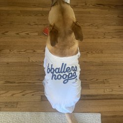 BBallers Hoops School