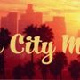 Photo of Beach City Mowers