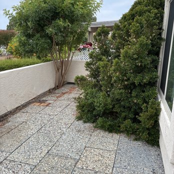 Barrios Landscape - Before - Landscaping Near Me - San Diego, California Barrios Landscape - Before - Landscaping Near Me - San Diego, California