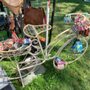 Photo of Los Gatos Fiesta de Artes