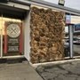 Photo of Marin Auto Care