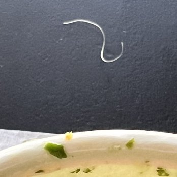 El Pollo Inka - Strand hair like particles found in the soup - Peruvian Near Me - Rolling Hills Estates, California