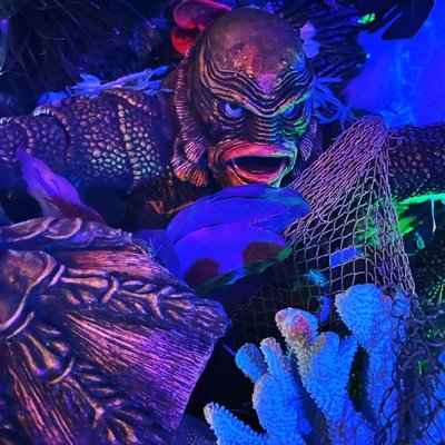 Hell or High Water Tiki Bar by null